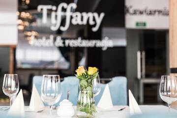 Фотографии Отель Hotel Tiffany г. Нове-Място-Любавске (Польша) №5 Фото Отель Hotel Tiffany г. Нове-Място-Любавске 5